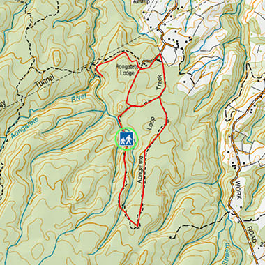 activity-bush-walks