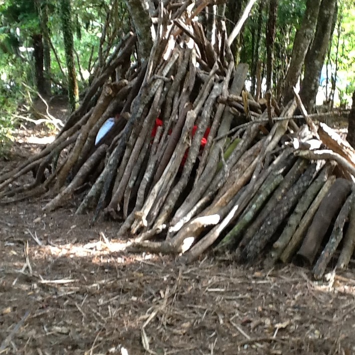 Shelter-Building-7 (1)